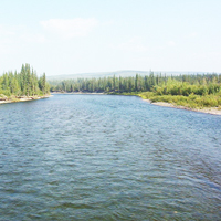 Goldsuche am Klondike River 